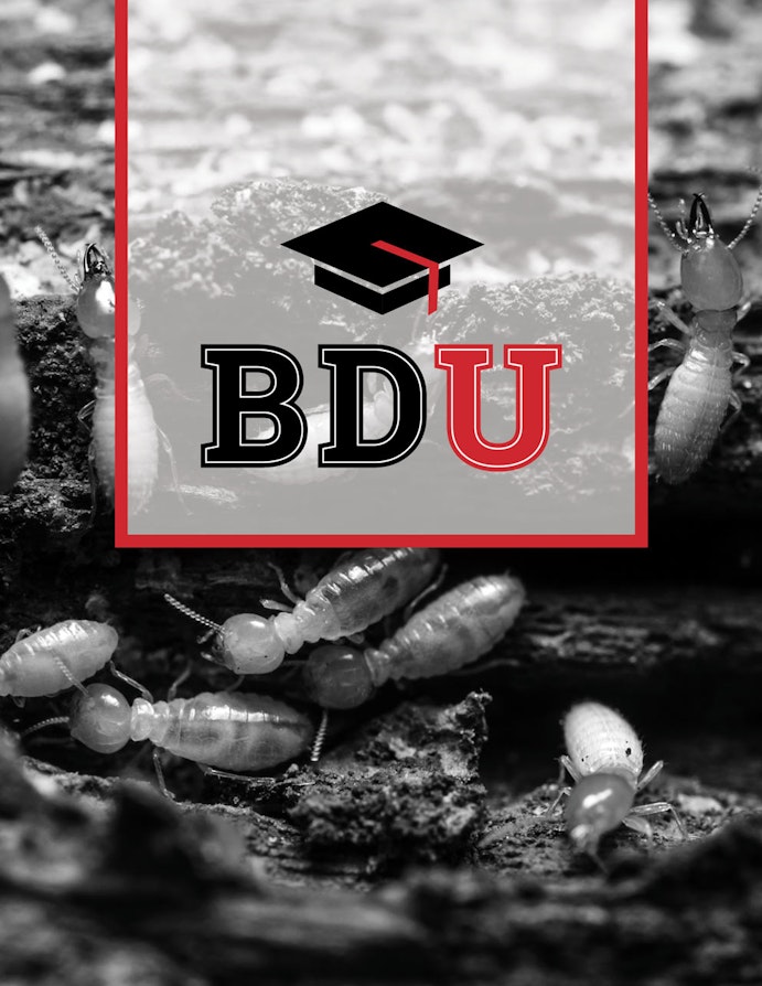 Bd University Booklet Cover