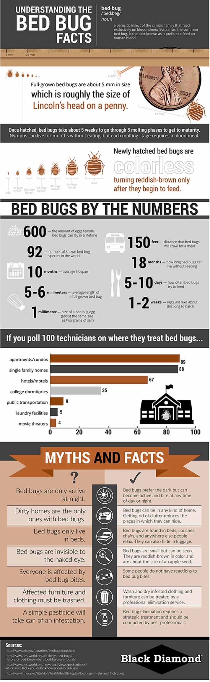 Bed Bug Myth Infographic