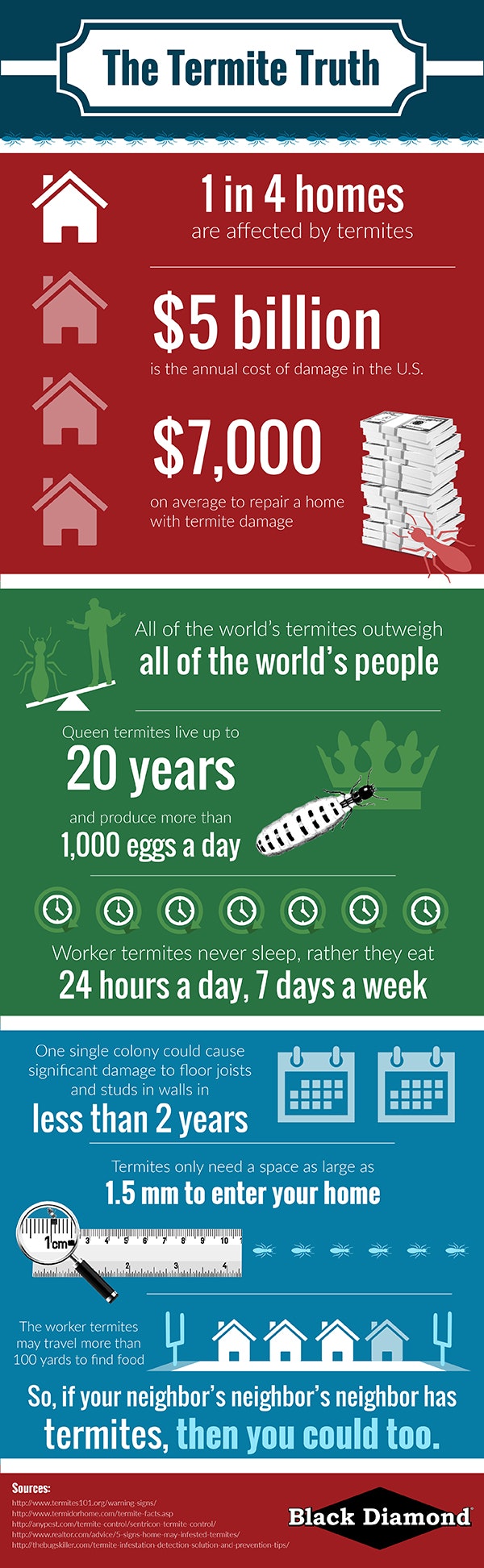 Termite Infographic